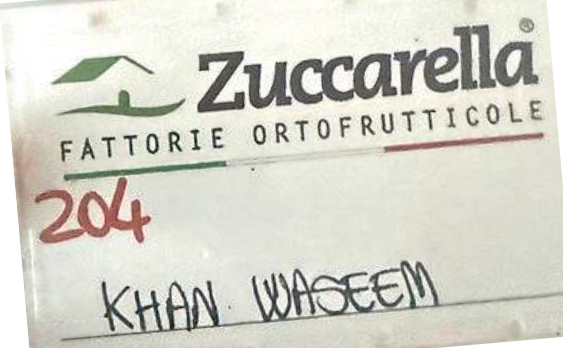 Le fragole non crescono da sole, ma diventano rosse con il sangue dei lavoratori.